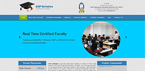 erp scholars