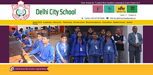 delhi city school