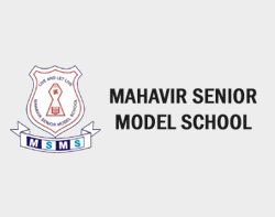 MSMS Delhi